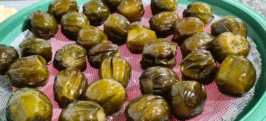 WhatsApp Image 2025-09-30 at 10.20.07