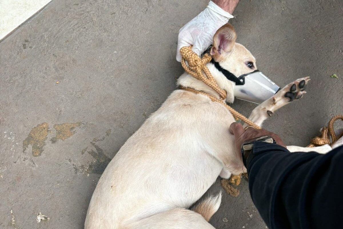 WhatsApp Image 2025-10-07 at 10.33.06