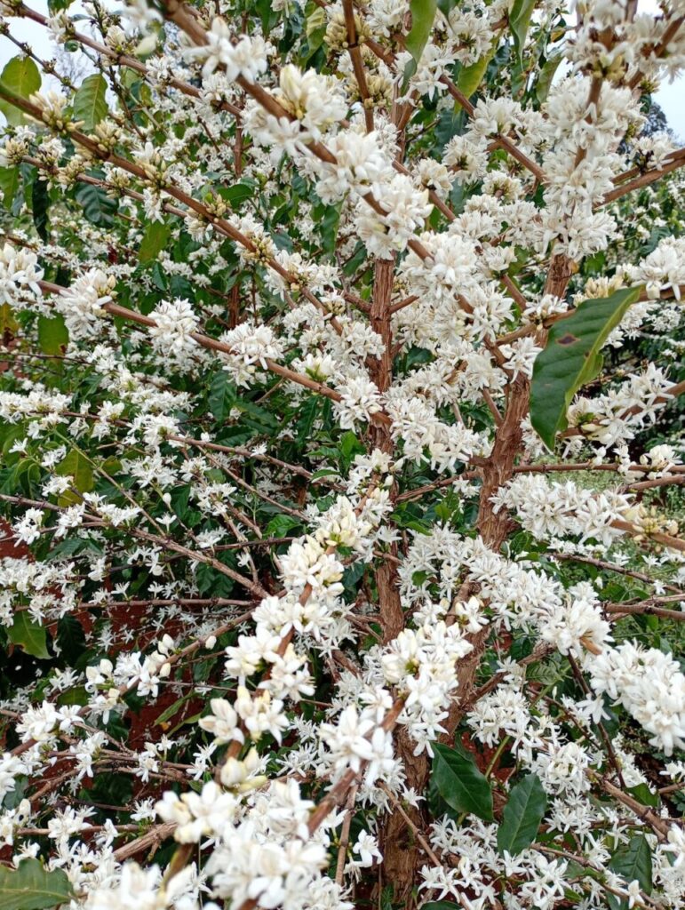 WhatsApp Image 2025-10-07 at 14.09.12