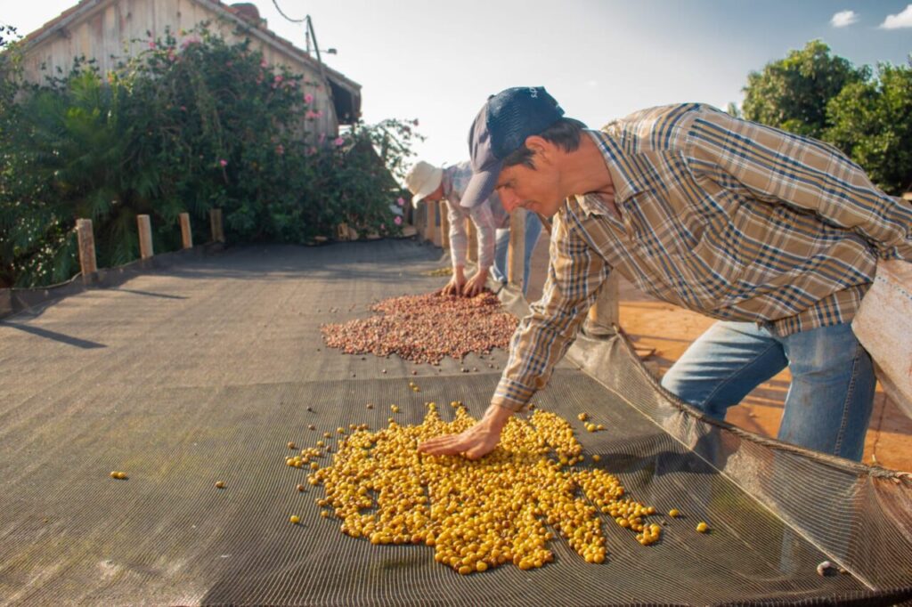 WhatsApp Image 2025-10-07 at 14.09.13