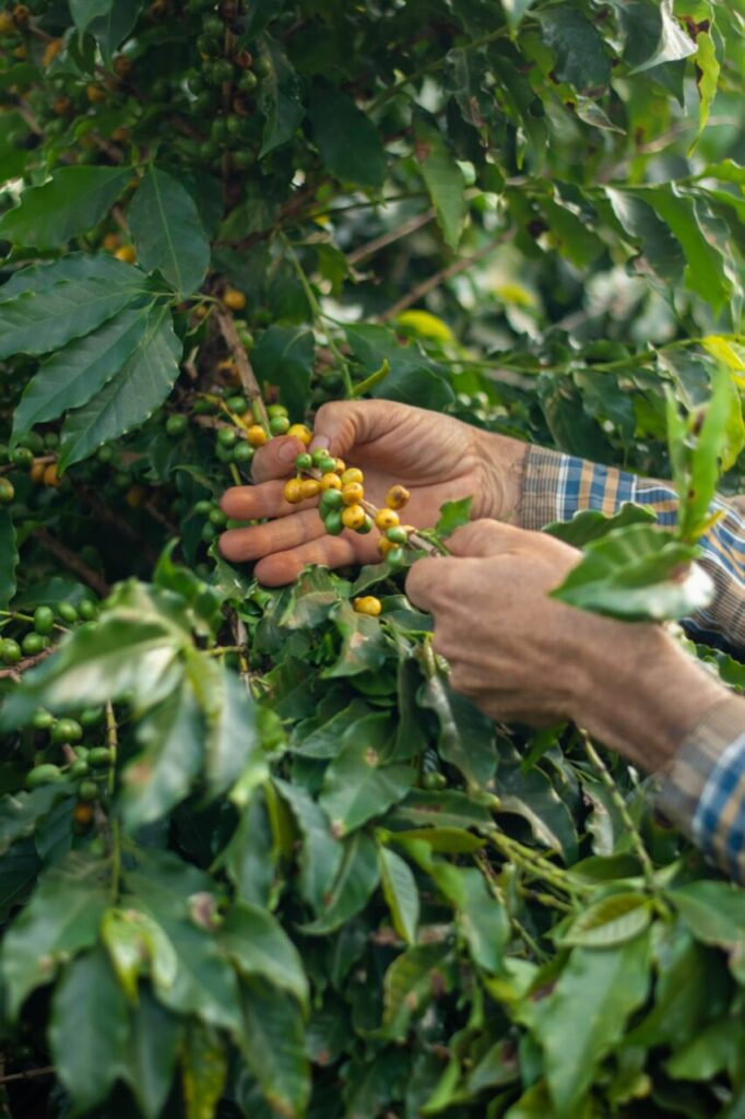 WhatsApp Image 2025-10-07 at 14.10.31 (1)