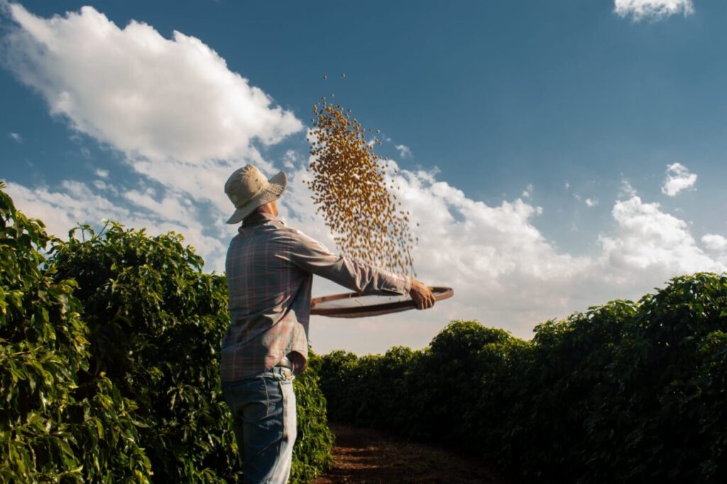 WhatsApp Image 2025-10-07 at 14.10.31