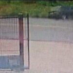 WhatsApp Image 2025-10-07 at 17.39.57