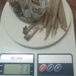 WhatsApp Image 2025-10-08 at 15.51.07