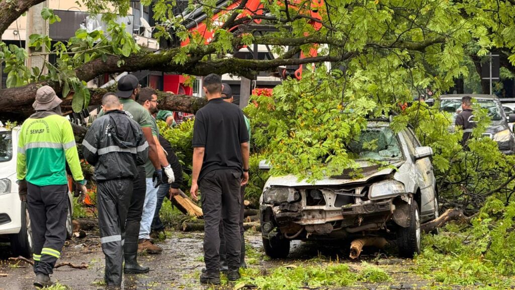 WhatsApp Image 2025-10-13 at 11.51.41