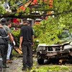 WhatsApp Image 2025-10-13 at 11.51.41