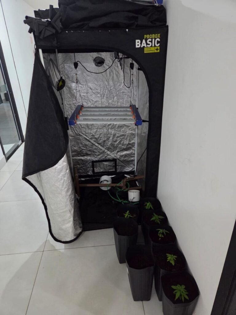 WhatsApp Image 2025-10-14 at 11.45.34 (3)