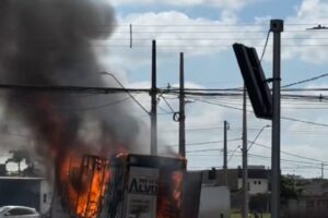 WhatsApp Image 2025-10-14 at 17.55.04