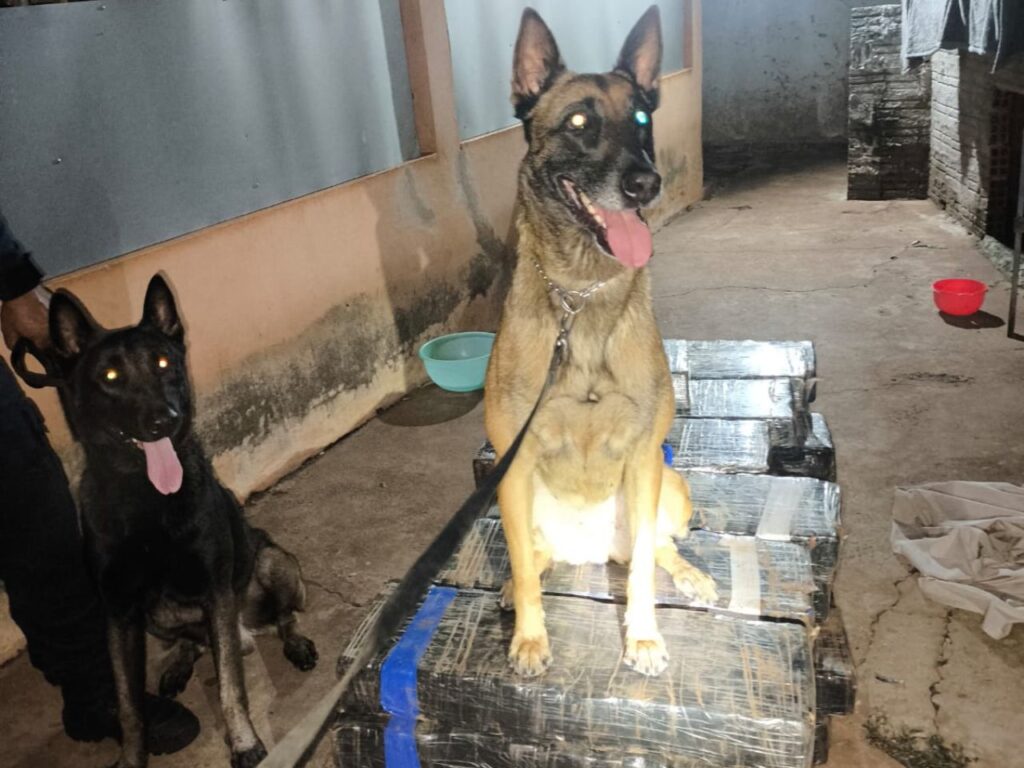 WhatsApp Image 2025-10-15 at 08.19.45