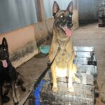 WhatsApp Image 2025-10-15 at 08.19.45