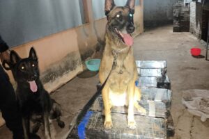 WhatsApp Image 2025-10-15 at 08.19.45