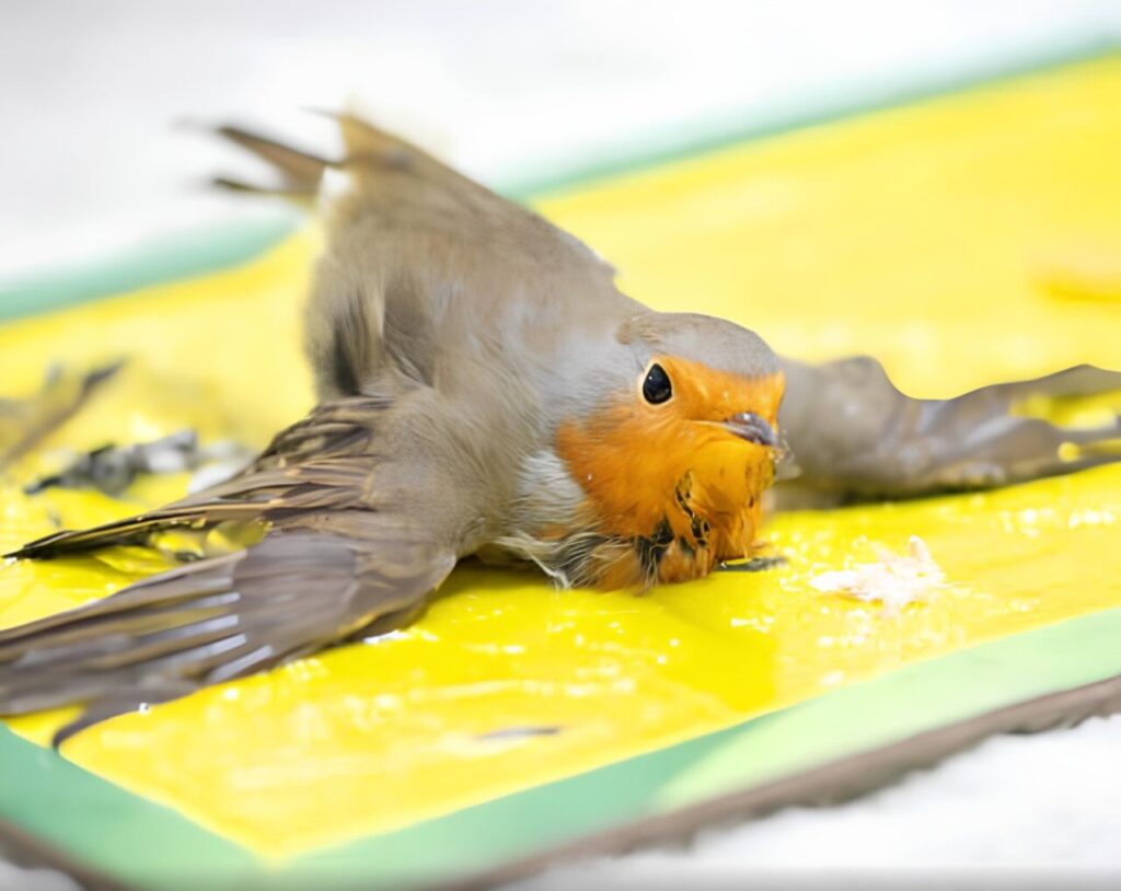 WhatsApp Image 2025-10-15 at 15.04.40