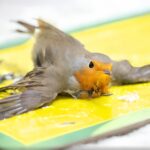 WhatsApp Image 2025-10-15 at 15.04.40