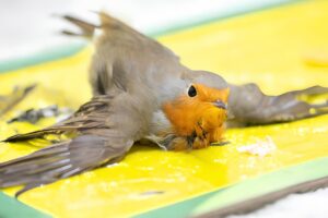 WhatsApp Image 2025-10-15 at 15.04.40