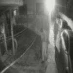 WhatsApp Image 2025-10-20 at 16.53.25