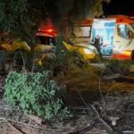 WhatsApp Image 2025-10-22 at 08.11.53