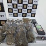 WhatsApp Image 2025-10-22 at 17.11.55