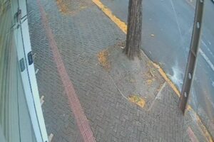 WhatsApp Image 2025-10-24 at 15.57.19