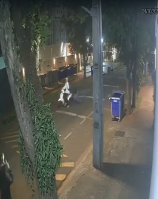 WhatsApp Image 2025-10-24 at 16.50.34