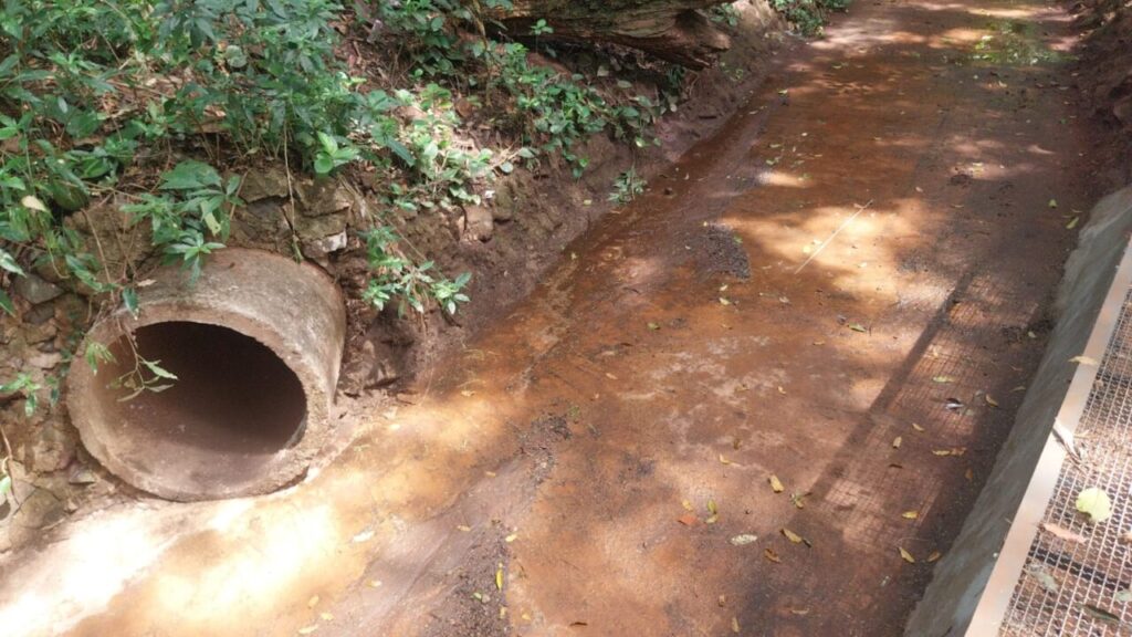 WhatsApp Image 2025-10-27 at 10.23.19