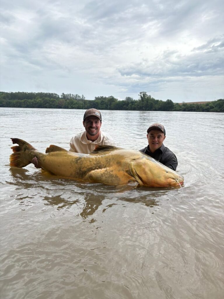 WhatsApp Image 2025-10-28 at 12.56.12