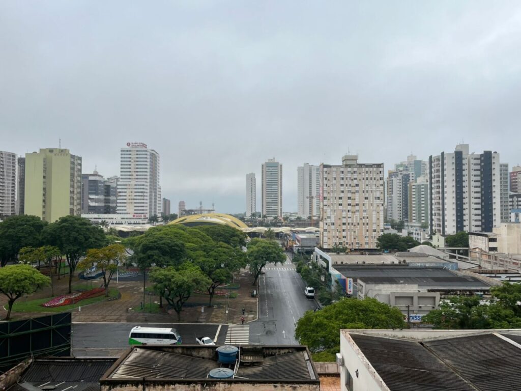 WhatsApp Image 2025-10-29 at 08.03.58