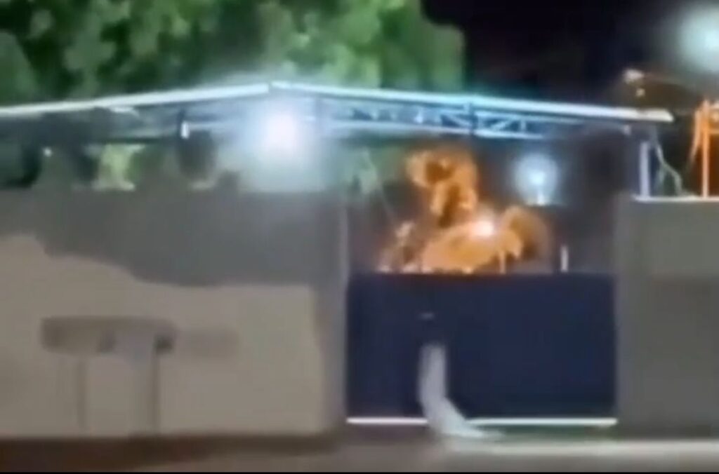 WhatsApp Image 2025-10-29 at 10.32.46