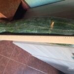 abobora-gigante-de-28-kg-e-encontrada-por-brigadista-em-roca-em-guaporema-68dfb3fa05773