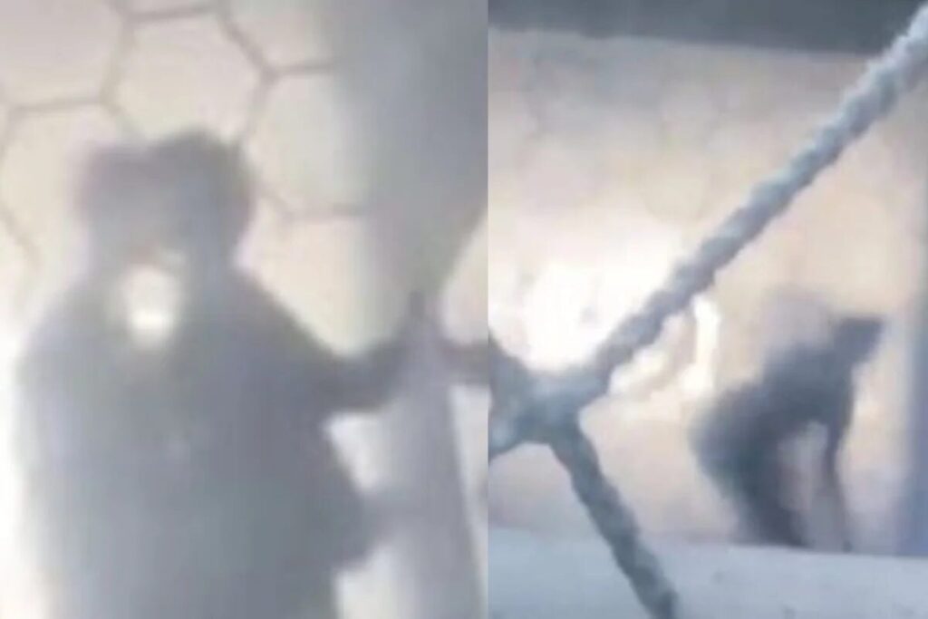 Vídeo de alunos fazendo sexo circula nas redes sociais. Foto: Reprodução