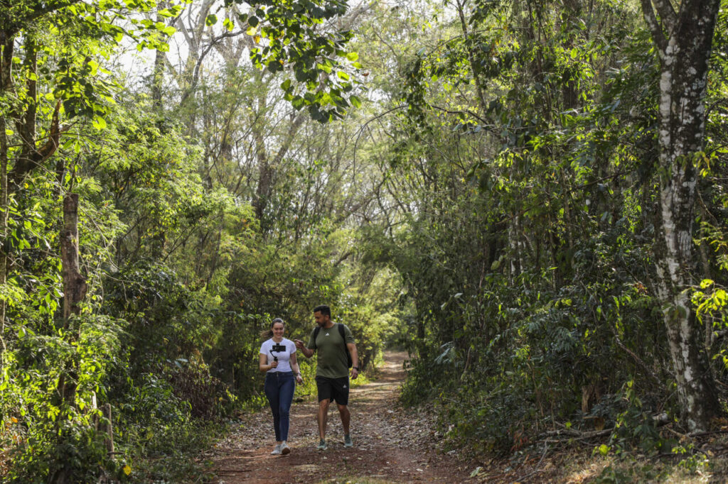 londrina_-_mata_dos_godoy31daniel_castellano_0