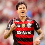 pedroguilherme_1760916565_3747162204560007558_946237076