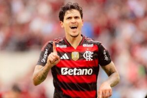 pedroguilherme_1760916565_3747162204560007558_946237076