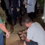 velorio-churrasco-cerveja-sarandi