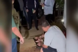 velorio-churrasco-cerveja-sarandi