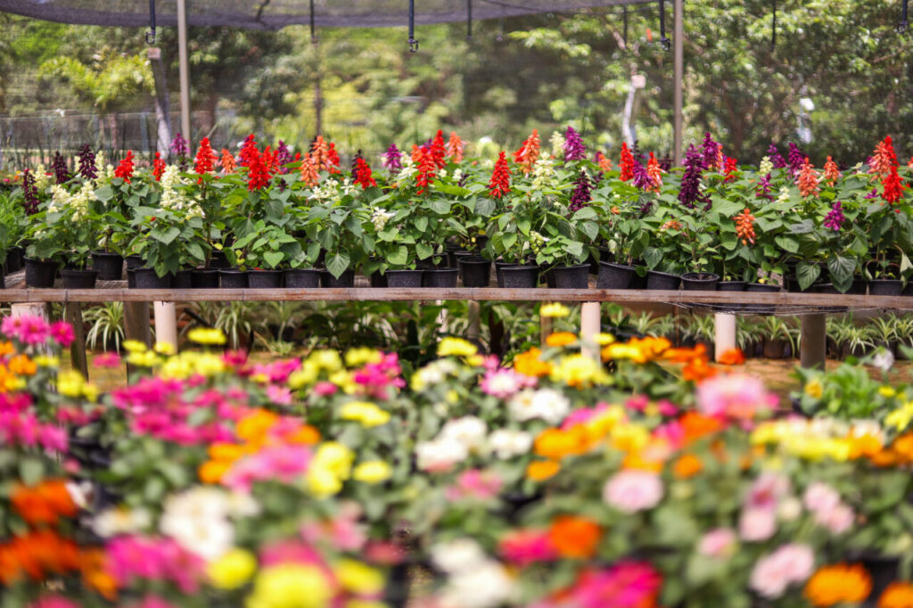 121cc653-8be3-4d2e-8318-55d77498d752