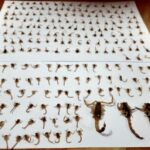 1eaffbe9-d86a-4bcf-8654-e9c988782519