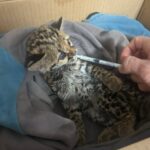 561385685_1349082797232161_4984793781201871300_n