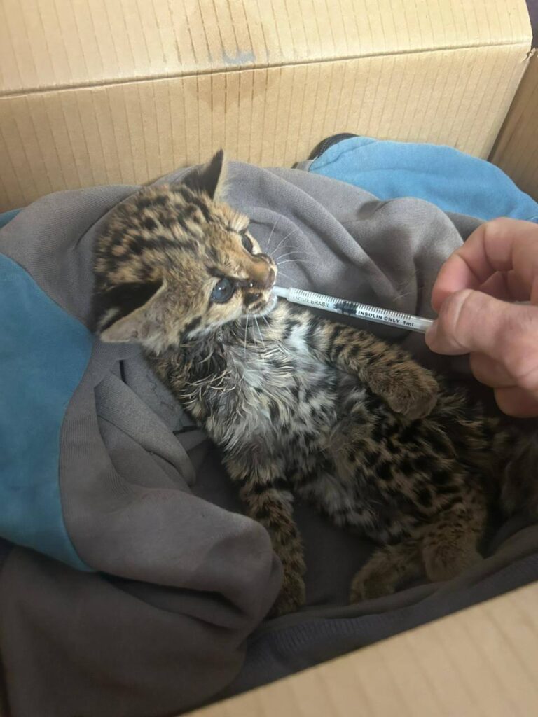 561385685_1349082797232161_4984793781201871300_n