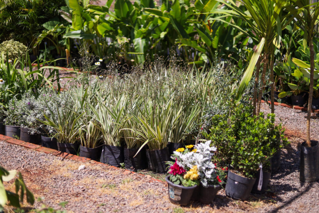 79641998-23f1-43e7-b58f-5932980781ce