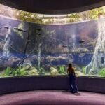 86cf9345-dedd-4c7e-9788-e090399407b4