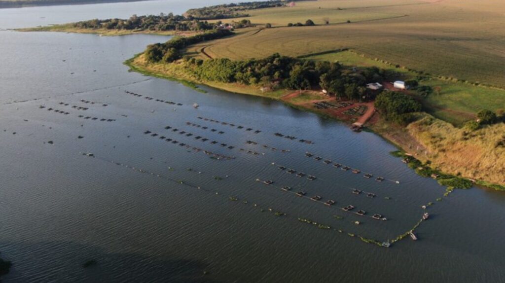 Captura de tela 2025-11-07 144203