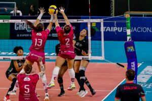 Imagem do WhatsApp de 2025-11-12 à(s) 15.08.03_d688987d