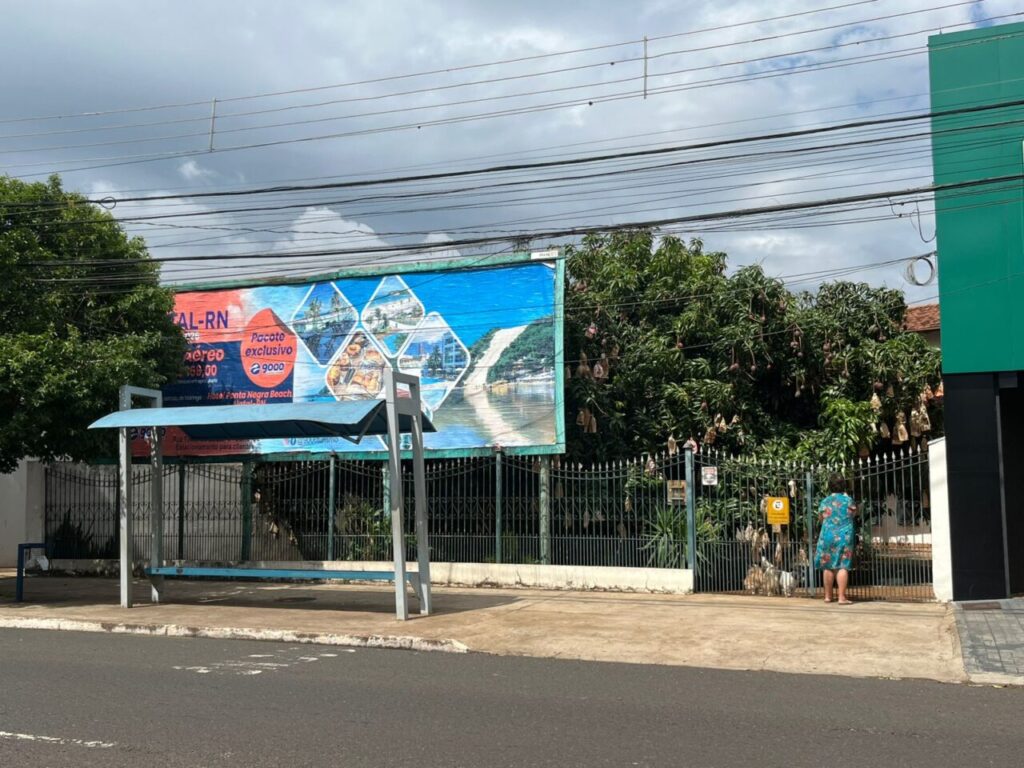 WhatsApp Image 2025-11-01 at 18.51.49