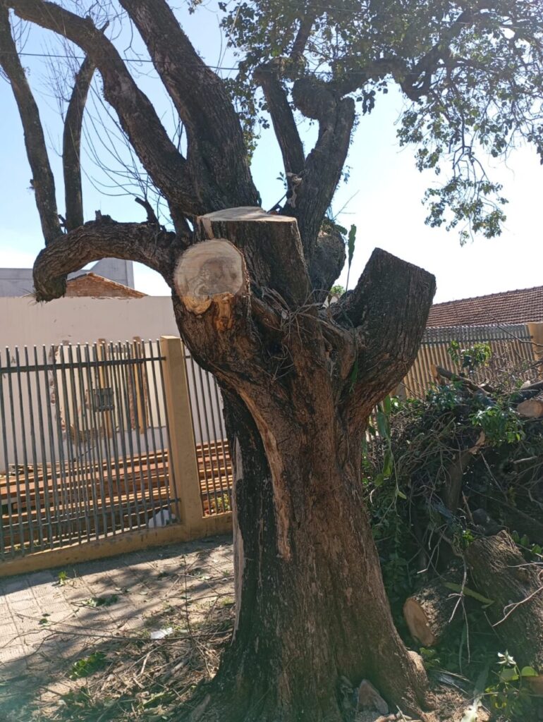 WhatsApp Image 2025-11-10 at 10.15.02