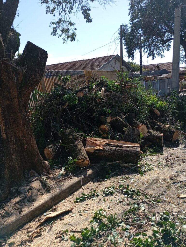 WhatsApp Image 2025-11-10 at 10.15.03 (1)