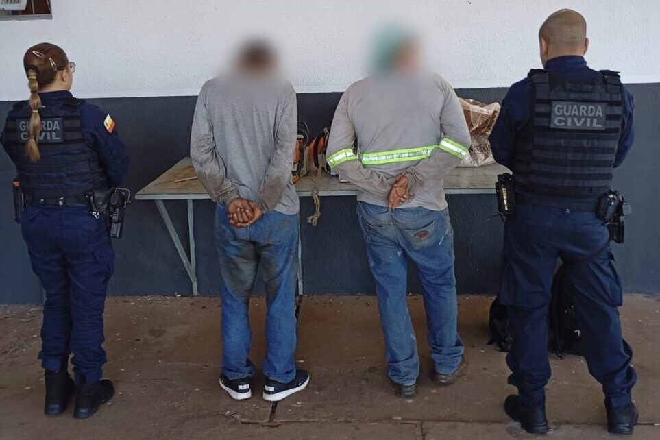 WhatsApp Image 2025-11-10 at 10.15.03