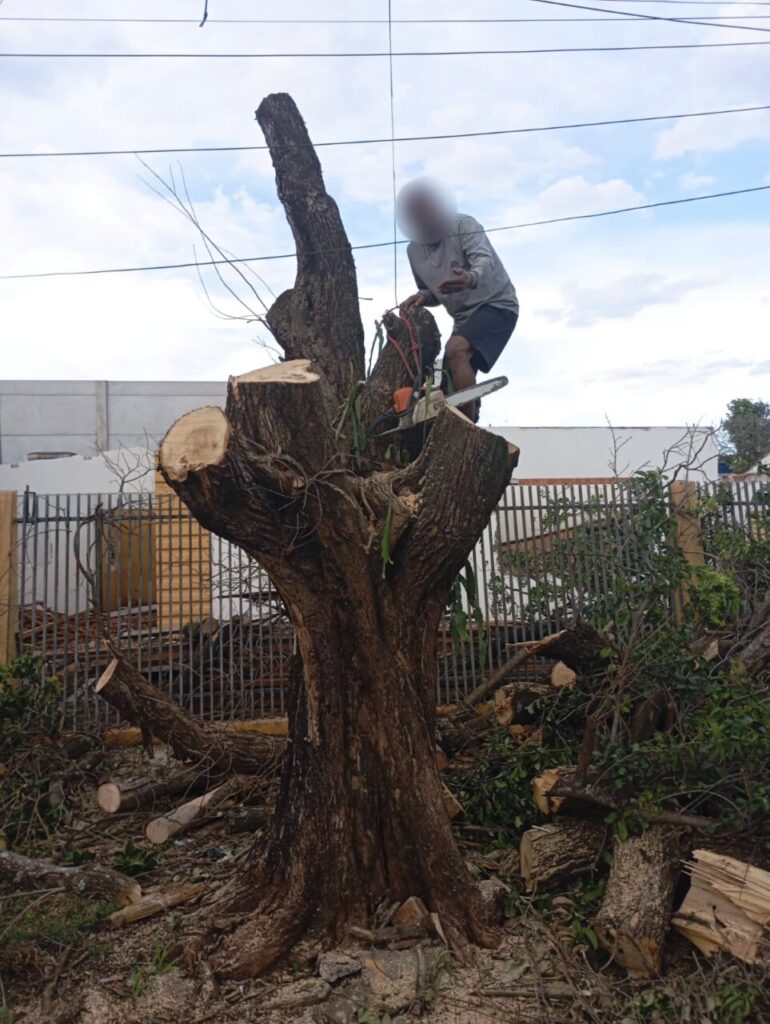 WhatsApp Image 2025-11-10 at 10.15.04 (1)