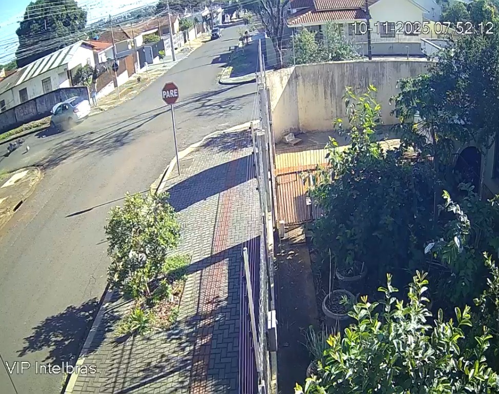 WhatsApp Image 2025-11-10 at 15.52.30 (1)