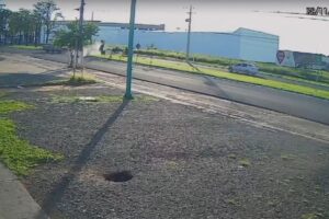 WhatsApp Image 2025-11-10 at 17.13.35