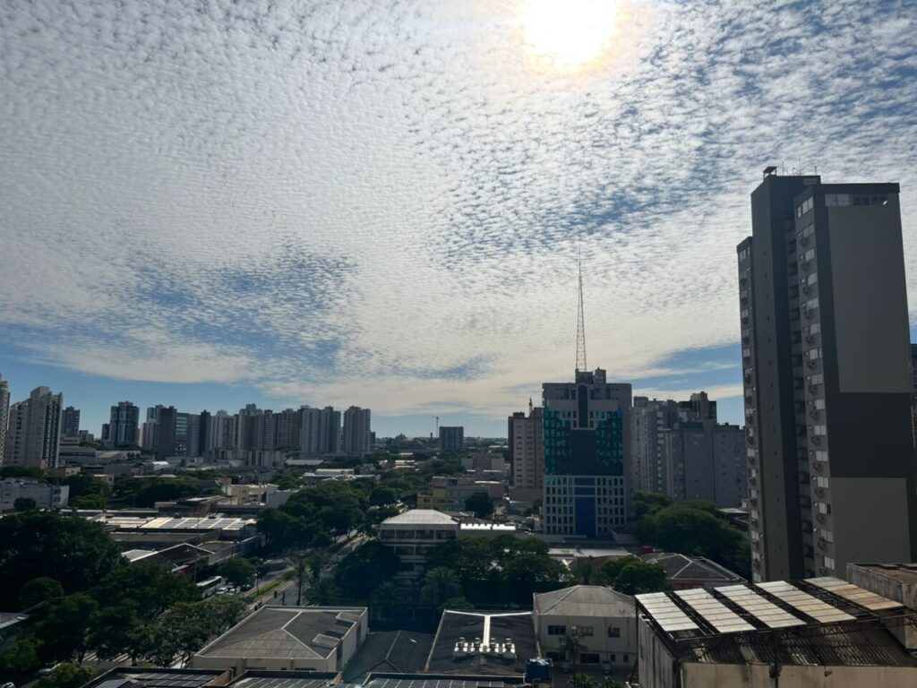 WhatsApp Image 2025-11-11 at 08.07.05